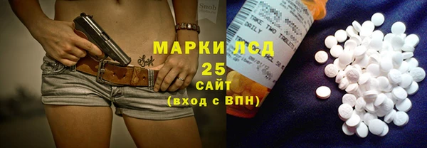 прущие грибы Кукмор