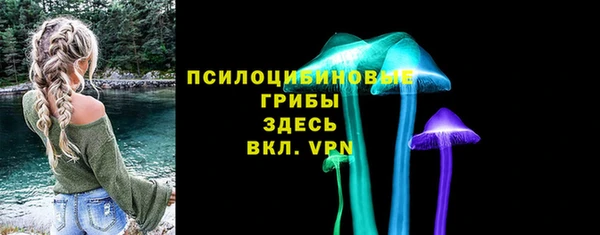 бошки Краснослободск