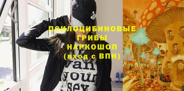 винт Слюдянка