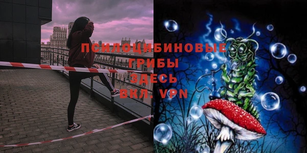 PSILOCYBIN Кулебаки