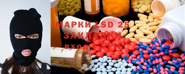 прущие грибы Кукмор