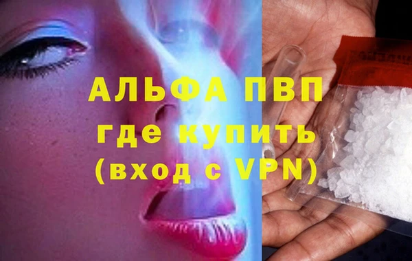 прущие грибы Кукмор