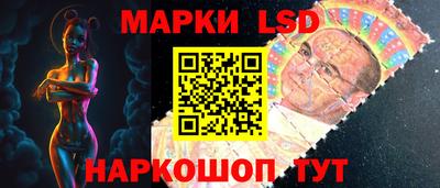 шишки Абакан