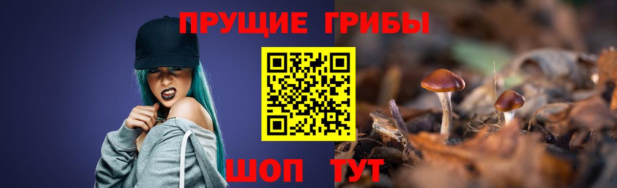 что такое   Галлюциногенные грибы Psilocybine cubensis  Абакан  Вход с VPN  Галлюциногенные грибы мухоморы 
